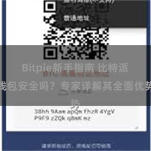 Bitpie新手指南 比特派钱包安全吗？专家详解其全面优势