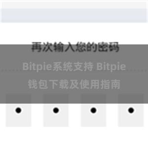 Bitpie系统支持 Bitpie钱包下载及使用指南