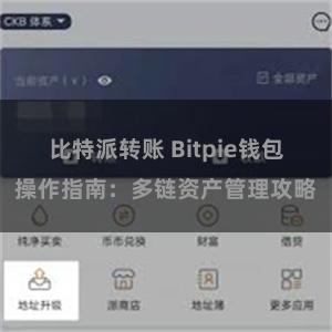 比特派转账 Bitpie钱包操作指南：多链资产管理攻略