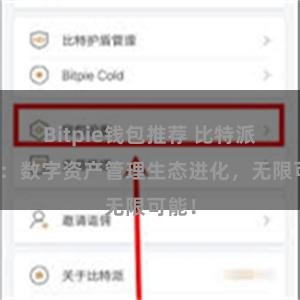 Bitpie钱包推荐 比特派钱包：数字资产管理生态进化，无限可能！