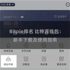 Bitpie排名 比特派钱包：新手下载及使用指南