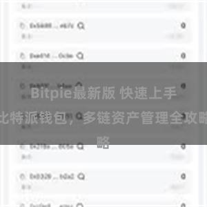 Bitpie最新版 快速上手比特派钱包，多链资产管理全攻略