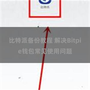 比特派备份教程 解决Bitpie钱包常见使用问题