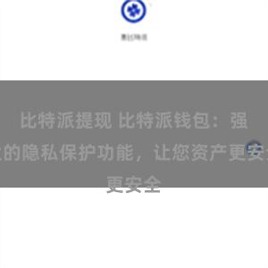 比特派提现 比特派钱包：强大的隐私保护功能，让您资产更安全