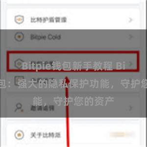 Bitpie钱包新手教程 Bitpie钱包：强大的隐私保护功能，守护您的资产