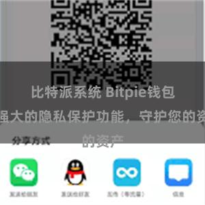 比特派系统 Bitpie钱包：强大的隐私保护功能，守护您的资产