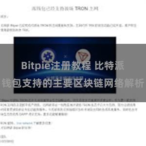 Bitpie注册教程 比特派钱包支持的主要区块链网络解析