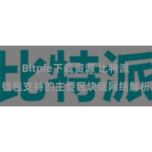 Bitpie下载资源 比特派钱包支持的主要区块链网络解析