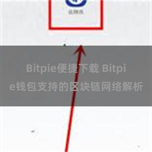 Bitpie便捷下载 Bitpie钱包支持的区块链网络解析