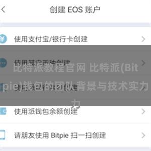 比特派教程官网 比特派(Bitpie)钱包的团队背景与技术实力