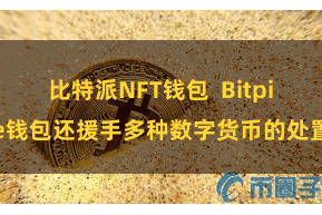 比特派NFT钱包  Bitpie钱包还援手多种数字货币的处置
