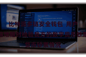 比特派多链安全钱包  用户不错遍地随时检验我方的数字货币钞票情况